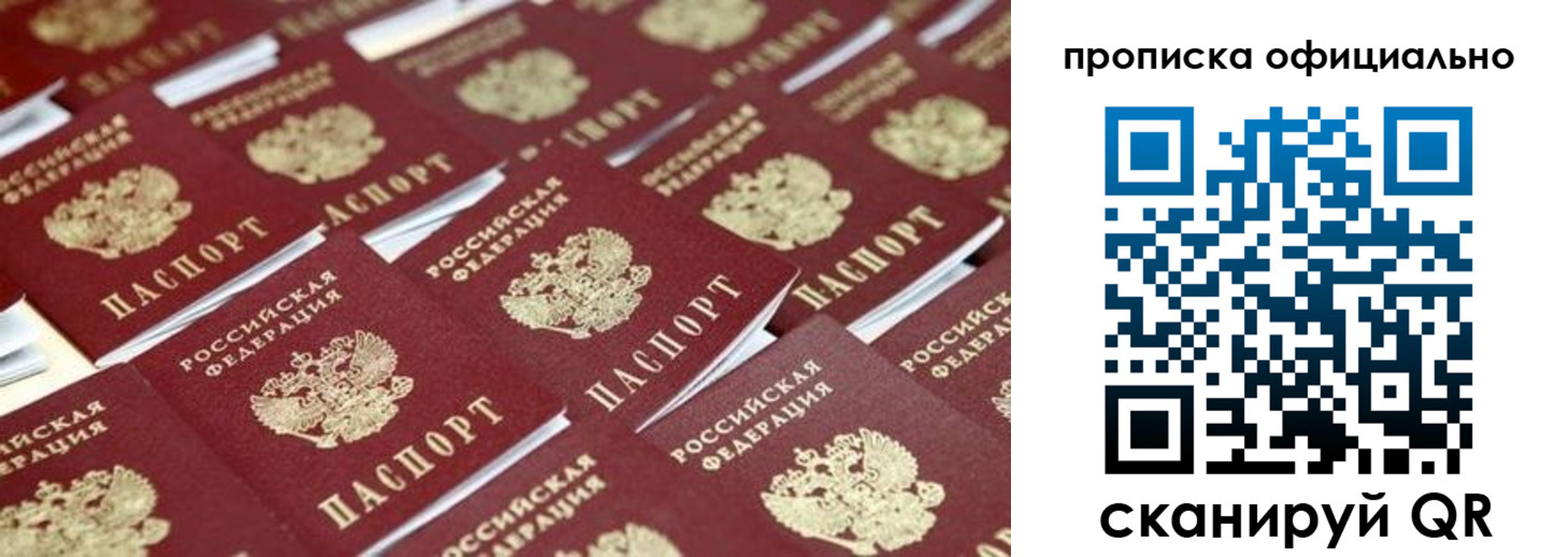 прописка гарантия в Большом Камне